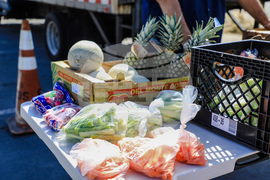 Election 2025 Decision Notes Colorado