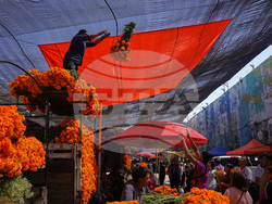 Mexico Day of the Dead