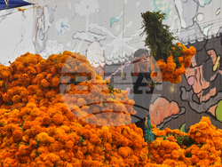 Mexico Day of the Dead