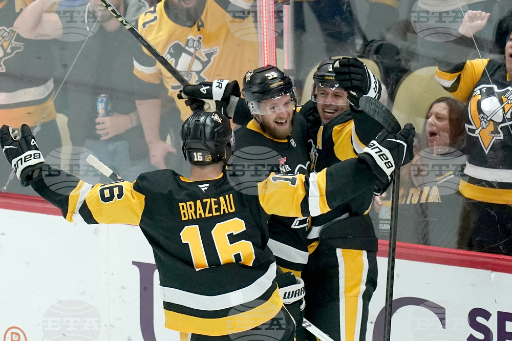 Blues Penguins Hockey