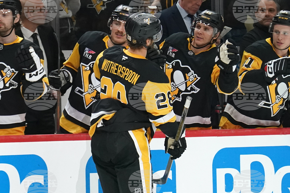 Blues Penguins Hockey