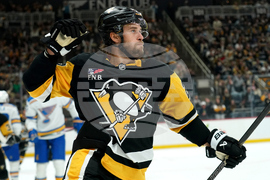 Blues Penguins Hockey