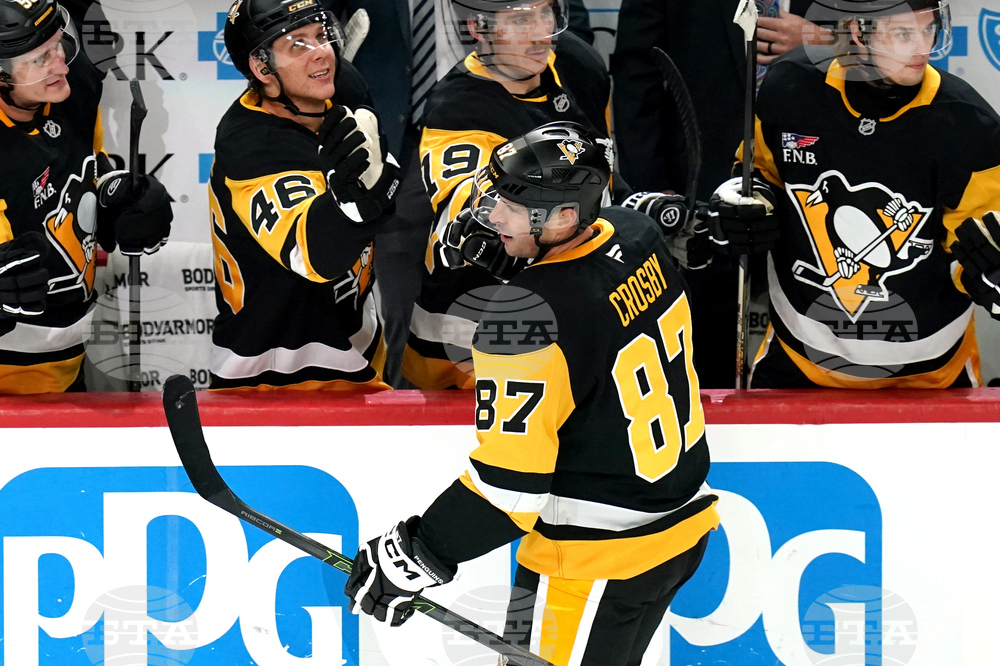 Blues Penguins Hockey