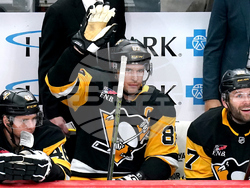 Blues Penguins Hockey