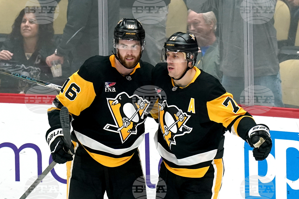 Blues Penguins Hockey