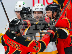 Bruins Senators Hockey