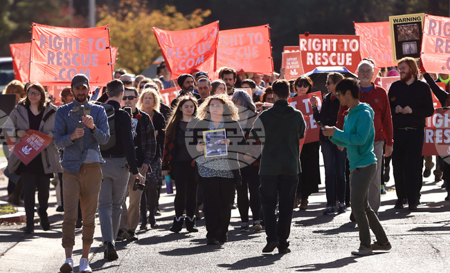 California Animal Activist Trial