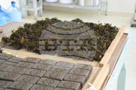 Tanzania Seaweed Farmers