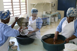 Tanzania Seaweed Farmers