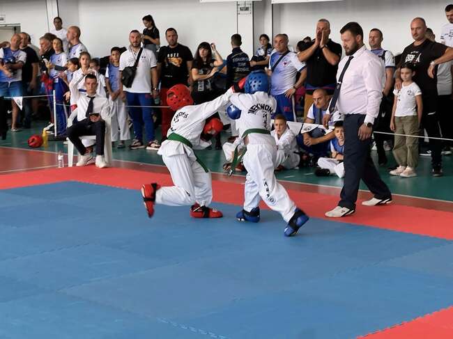 В Плевен ще се състои осмото издание на национален детски турнир по таекуон-до с участието на над 200 състезатели 