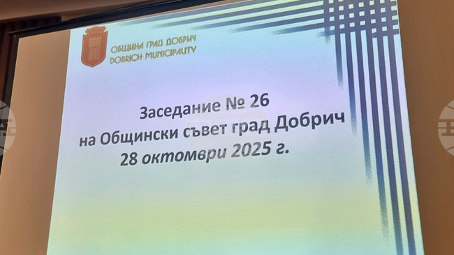 Запазване на цените за таксиметровите превози и определяне на място за паметник на Христо Ботев в Добрич бяха сред решенията на Общинския съвет 