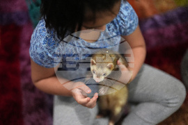 Federal Enforcement Chicago School Photo Essay