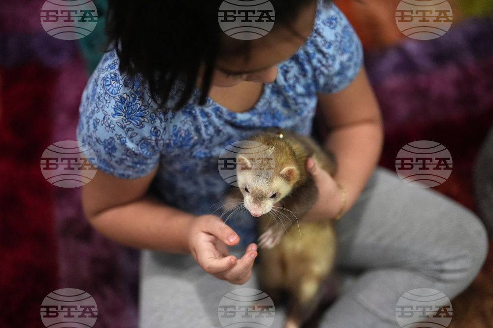 Federal Enforcement Chicago School Photo Essay