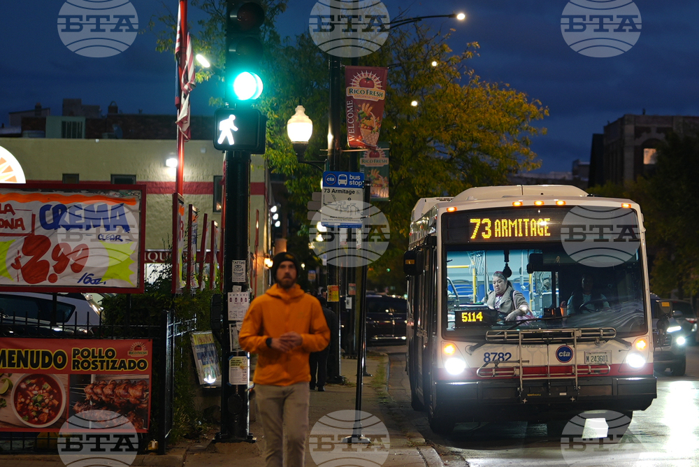 Federal Enforcement Chicago School