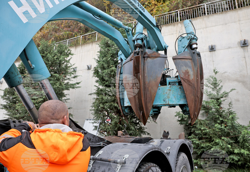 Варна - преместване на дървета