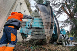 Варна - преместване на дървета