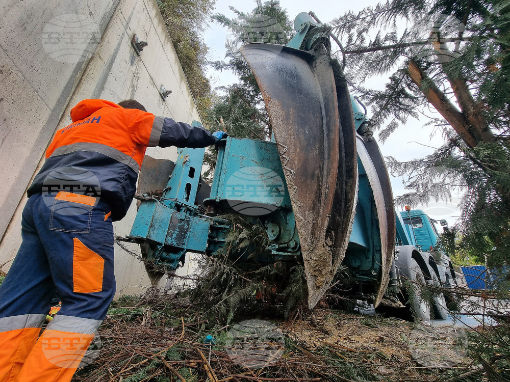 Варна - преместване на дървета