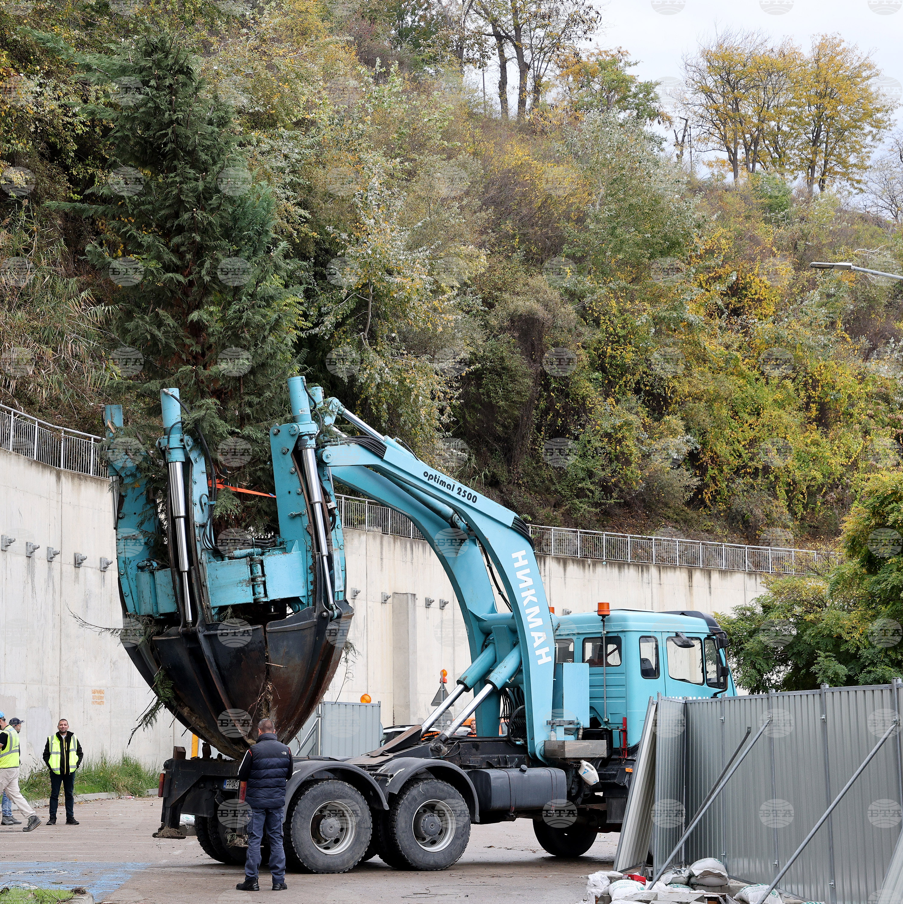 Варна - преместване на дървета