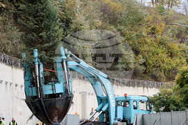 Варна - преместване на дървета
