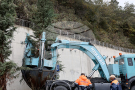 Варна - преместване на дървета