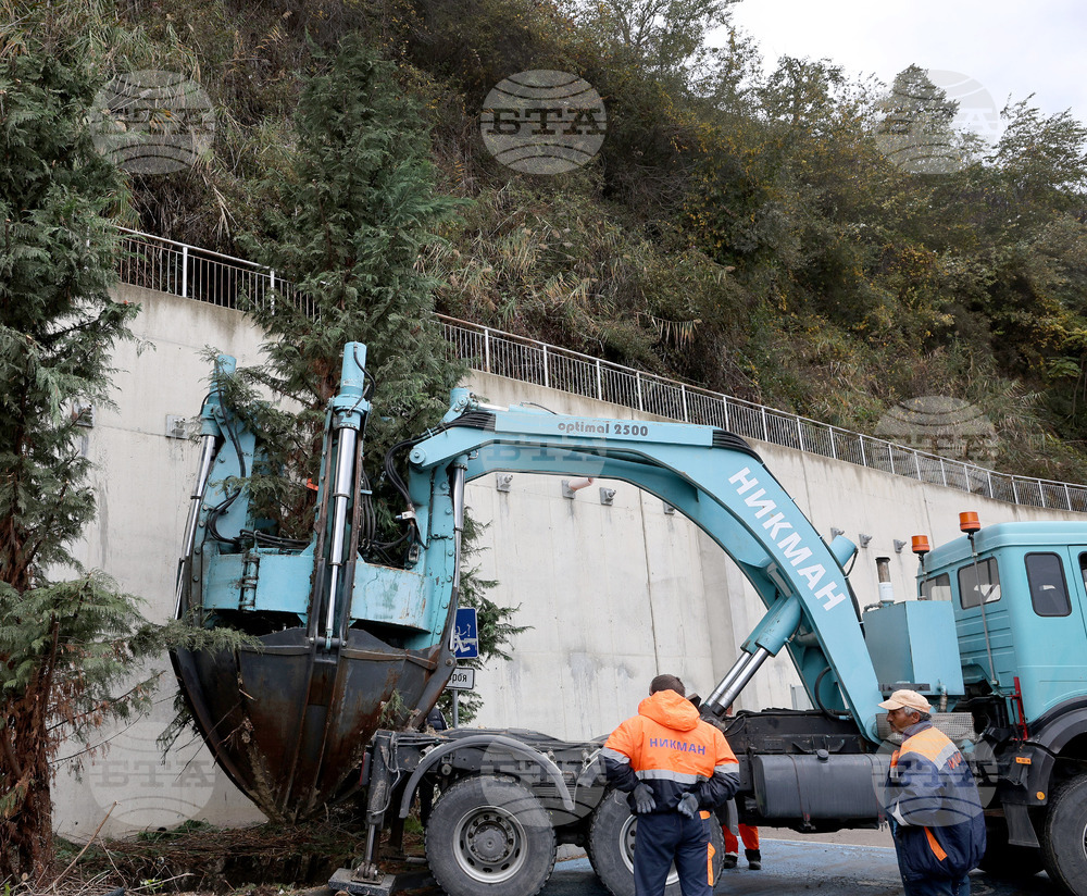 Варна - преместване на дървета
