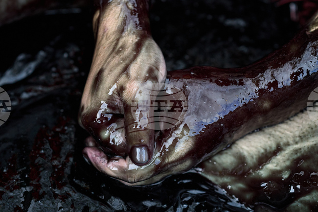 Netherlands Election Climate