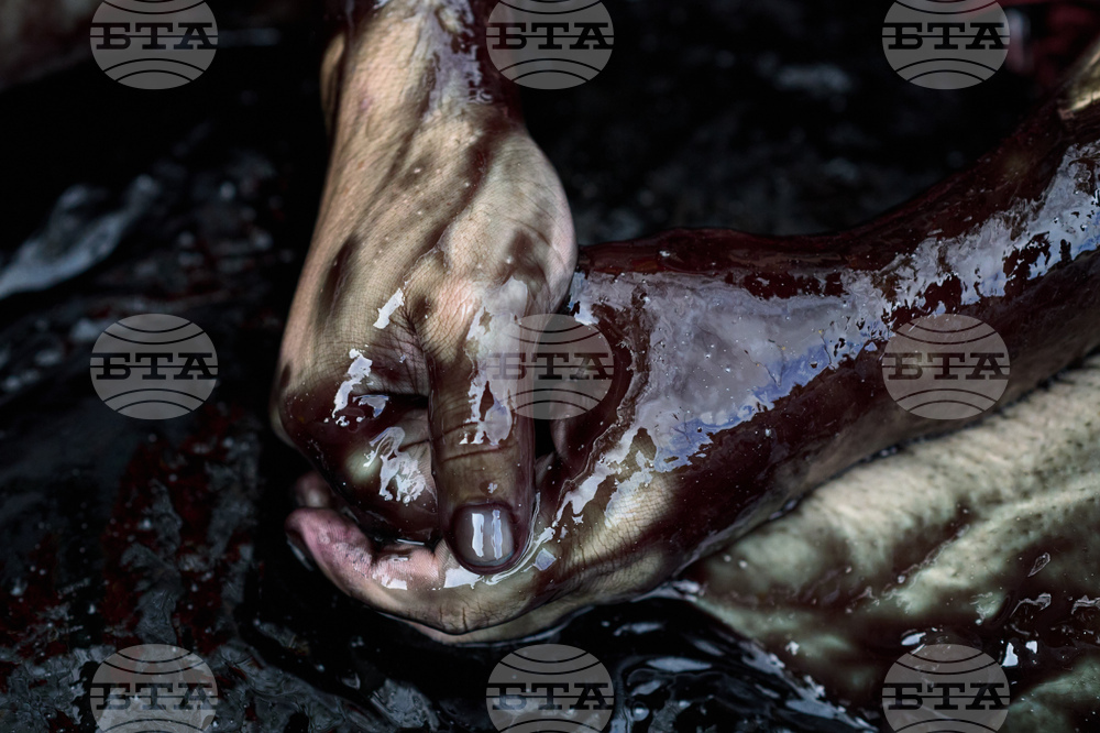 Netherlands Election Climate