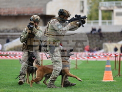 Пловдив - Спортен празник и демонстрация на способности на въоръжените сили