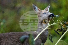 Lithuania Daily Life