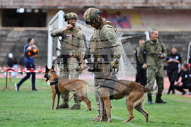Пловдив - Спортен празник и демонстрация на способности на въоръжените сили