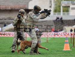 Пловдив - Спортен празник и демонстрация на способности на въоръжените сили