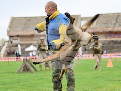 Пловдив - Спортен празник и демонстрация на способности на въоръжените сили