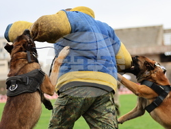 Пловдив - Спортен празник и демонстрация на способности на въоръжените сили