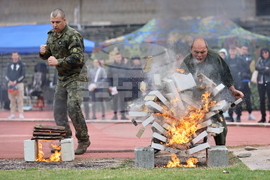 Пловдив - Спортен празник и демонстрация на способности на въоръжените сили