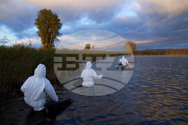 APTOPIX Germany Bird Flu