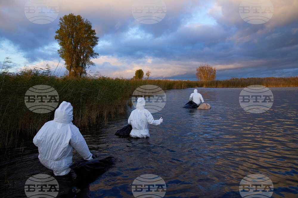 APTOPIX Germany Bird Flu
