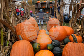 Climate Choices Pumpkin Waste