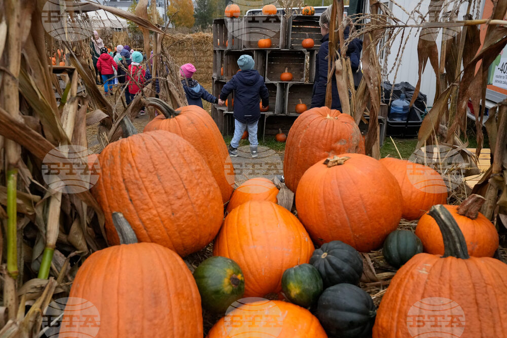 Climate Choices Pumpkin Waste