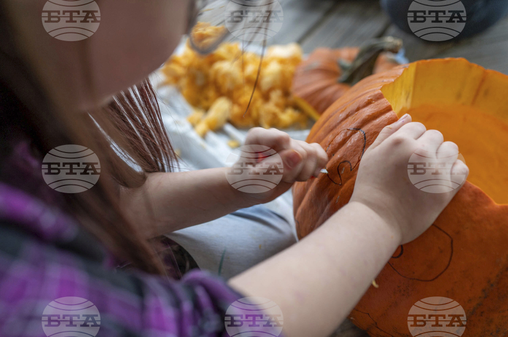 Climate Choices Pumpkin Waste