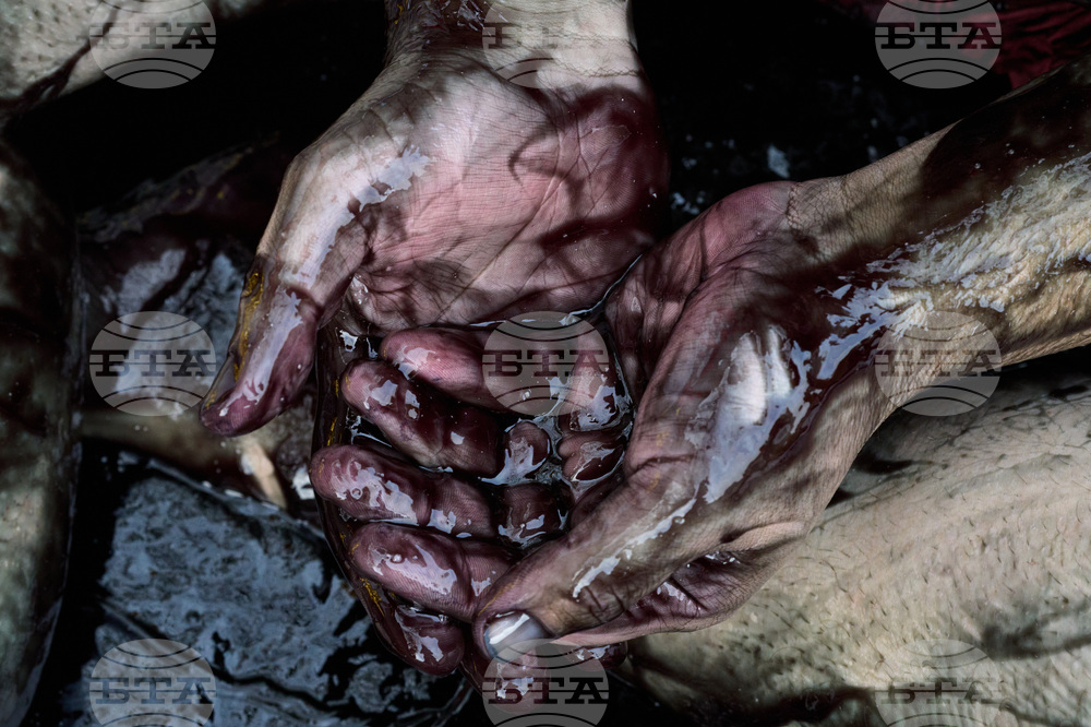 Netherlands Election Climate