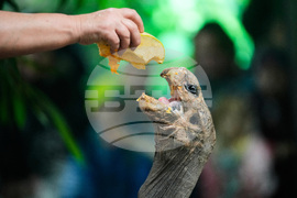 Czech Republic Halloween Zoo