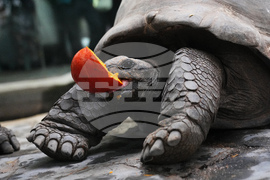 Czech Republic Halloween Zoo