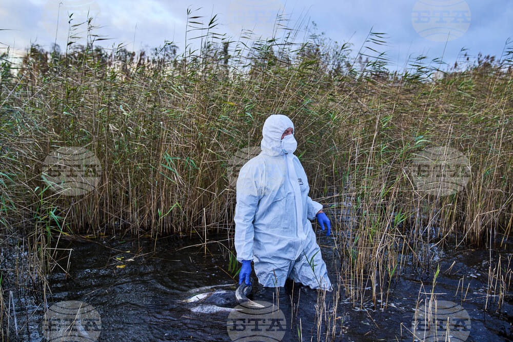 APTOPIX Germany Bird Flu
