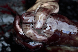 Netherlands Election Climate