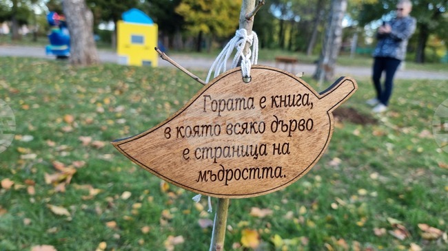 „Алея на будителите“ беше създадена във Враца по инициатива на Северозападното държавно предприятие