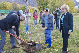 Враца - алея на будителите