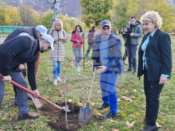 Враца - алея на будителите