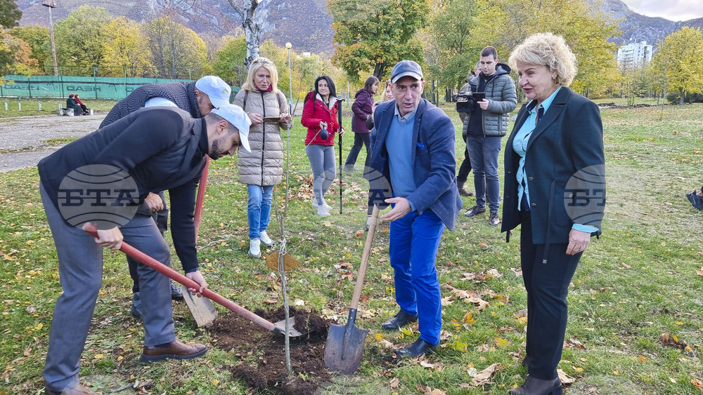Враца - алея на будителите