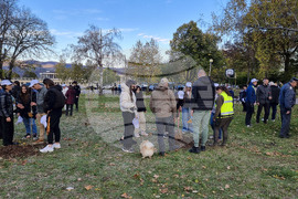 Враца - алея на будителите