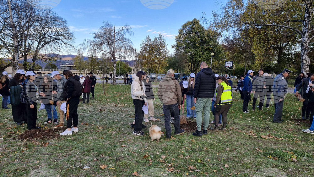 Враца - алея на будителите